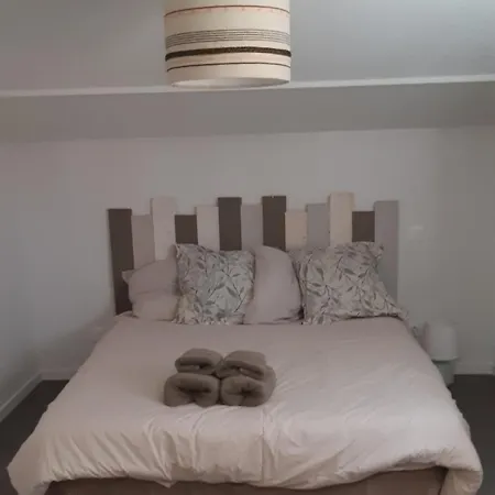 Paisible Maison A 2 Pas Du Bassin 公寓 *